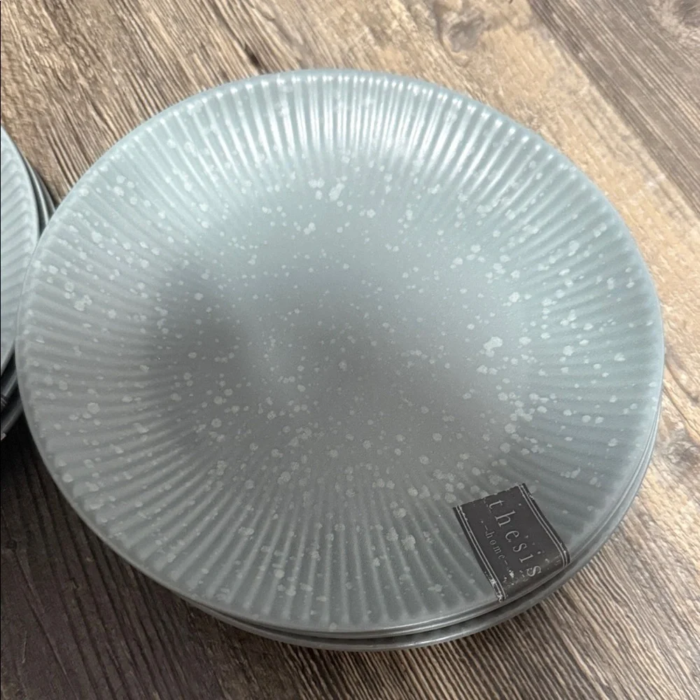 6 Elegant Gray salad Plate Set